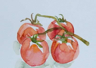 watercolor vegetables tomatoes