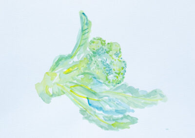watercolor vegetables broccoli