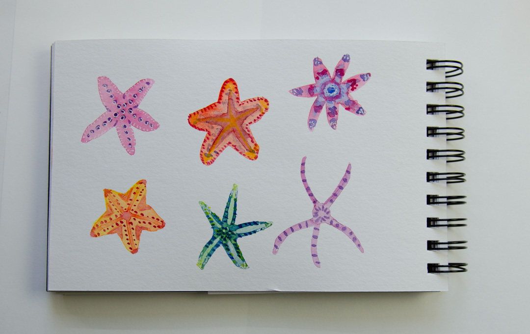 starfish drawing watercolor